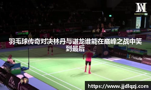 羽毛球传奇对决林丹与谌龙谁能在巅峰之战中笑到最后