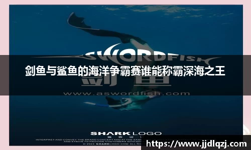 剑鱼与鲨鱼的海洋争霸赛谁能称霸深海之王